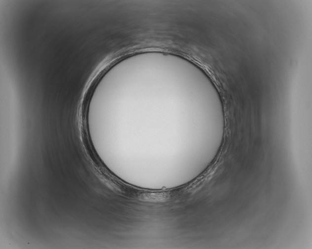 X0000112200102200908071251