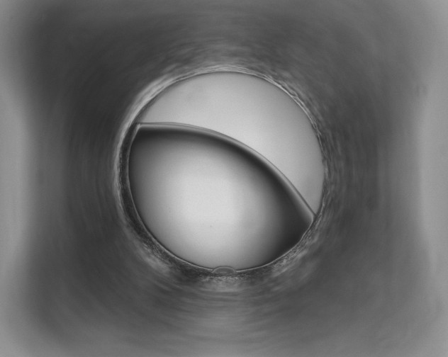 X0000112200104200908071251
