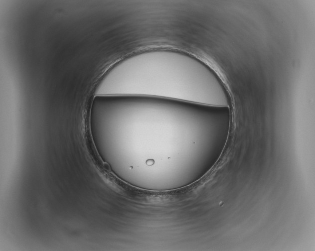 X0000112200105200908071251