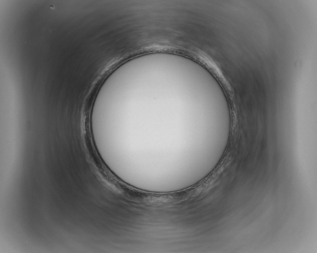 X0000112200106200908071251