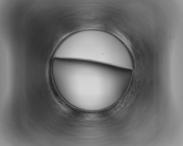 X0000112200107200908071251