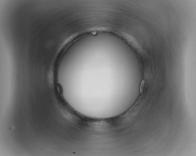 X0000112200112200908071251