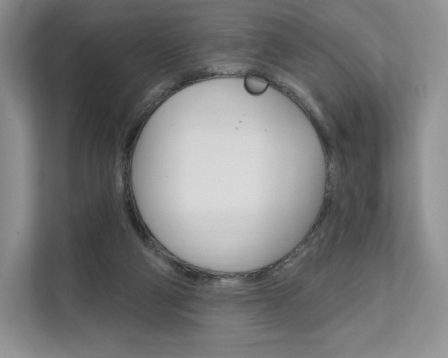 X0000112200114200908071251