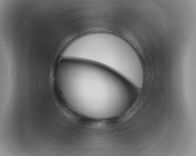 X0000112200116200908071251