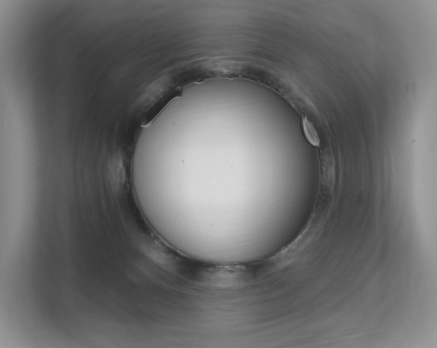 X0000112200128200908071250