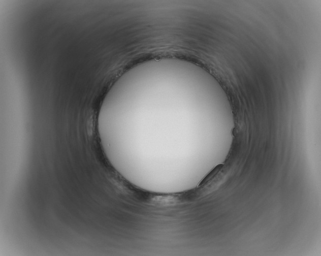 X0000112200133200908071250