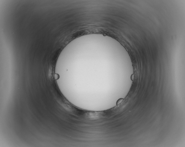 X0000112200134200908071250