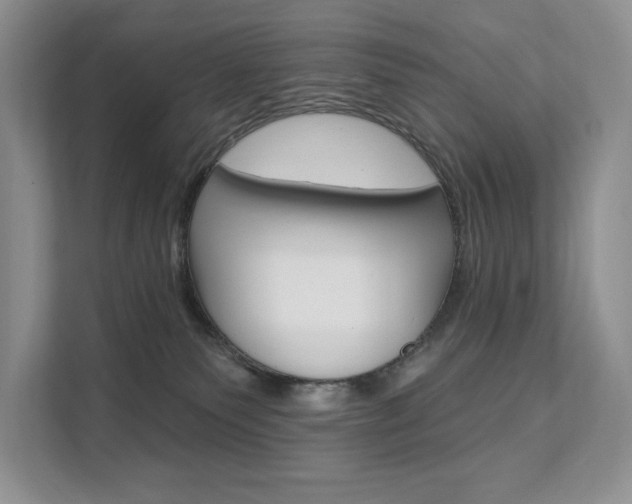 X0000112200135200908071250