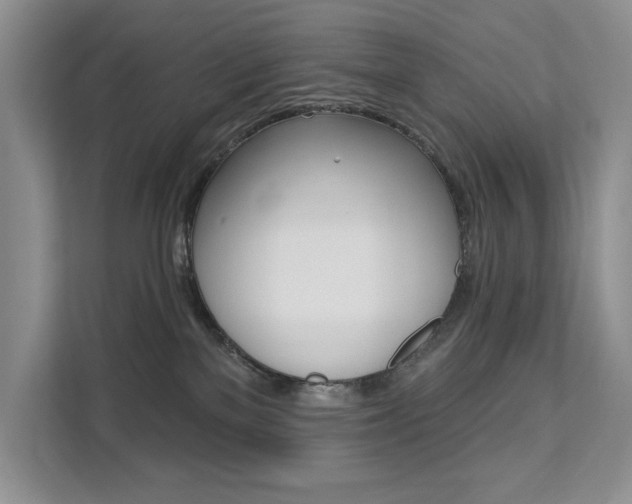 X0000112200137200908071250
