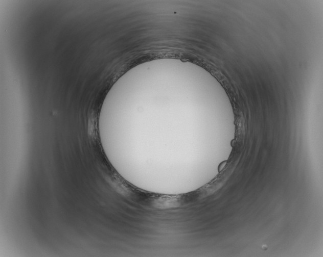 X0000112200138200908071250