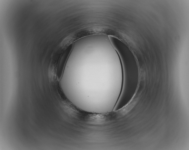 X0000112200140200908071250