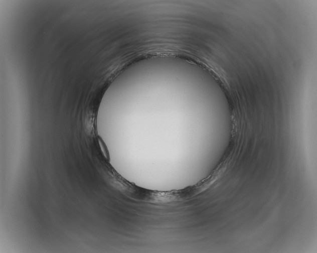 X0000112200141200908071250