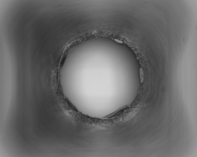 X0000112200144200908071250