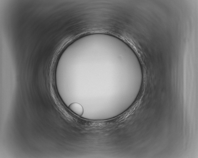 X0000112200145200908071250