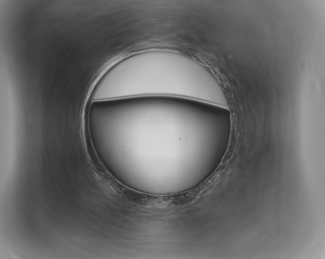 X0000112200148200908071250