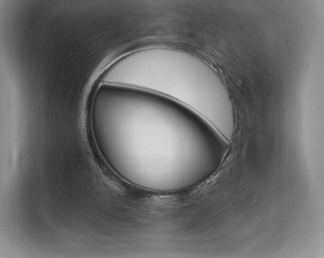 X0000112200150200908071250