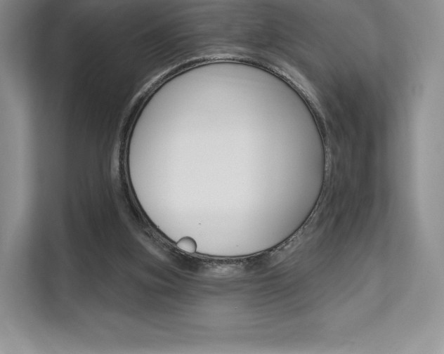 X0000112200155200908071250