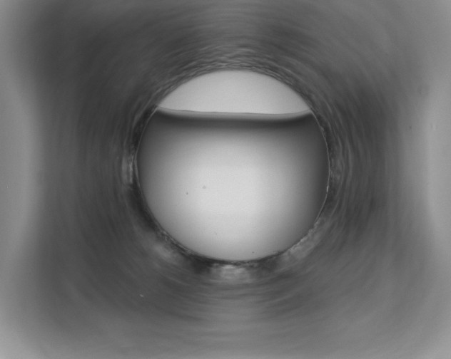 X0000112200180200908071250