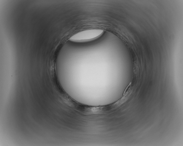 X0000112200184200908071250
