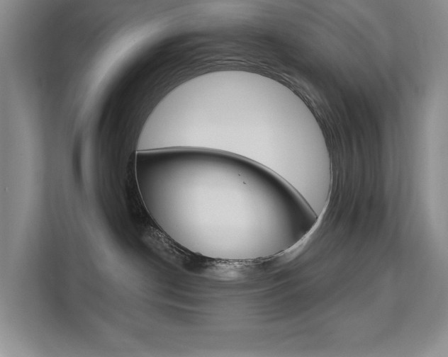 X0000112200190200908071250