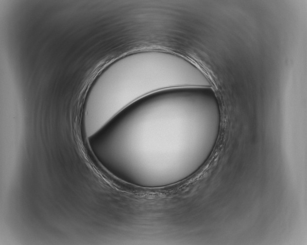 X0000112200193200908071250