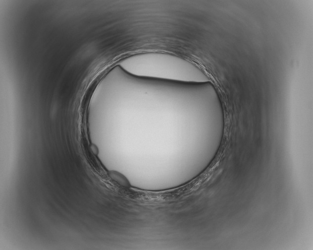 X0000112200194200908071250