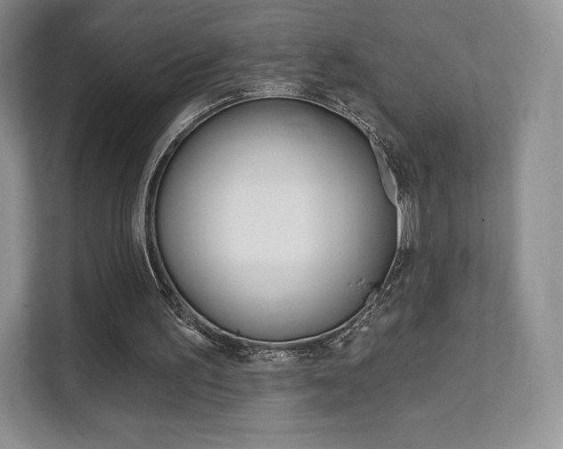 X0000112200195200908071250