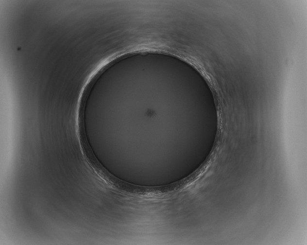 X0000112200196200908071250