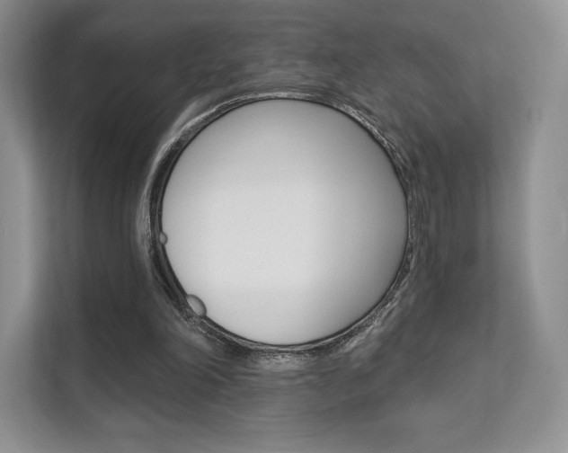 X0000112200198200908071250