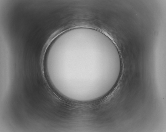 X0000112200199200908071250