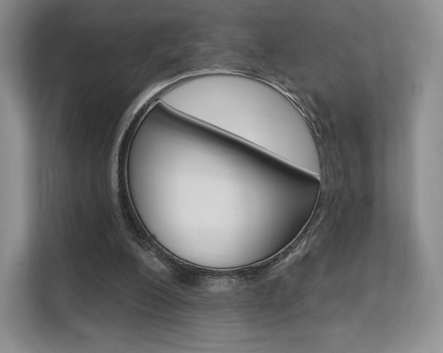 X0000112200200200908071250