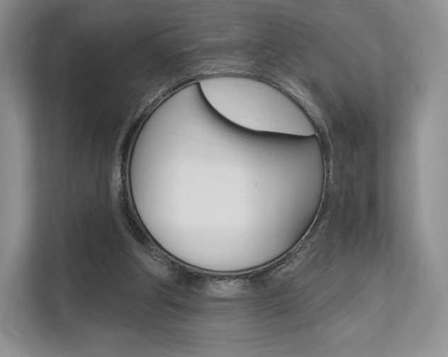 X0000112200202200908071249