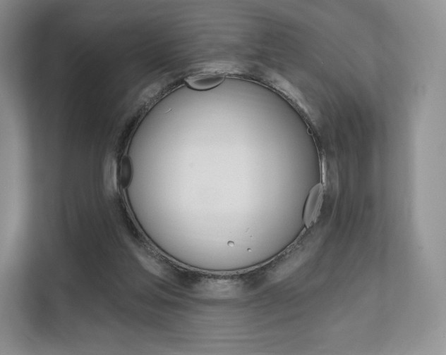 X0000112200205200908071249