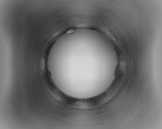 X0000112200211200908071249
