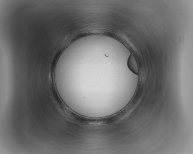X0000112200213200908071249