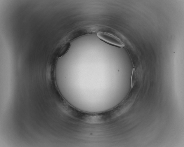 X0000112200217200908071249