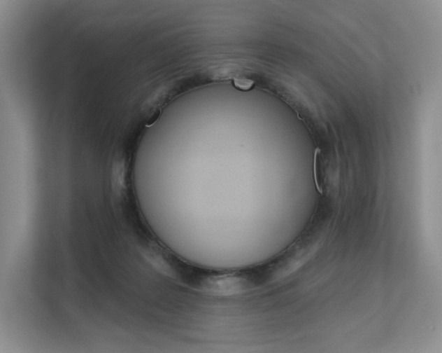 X0000112200219200908071249