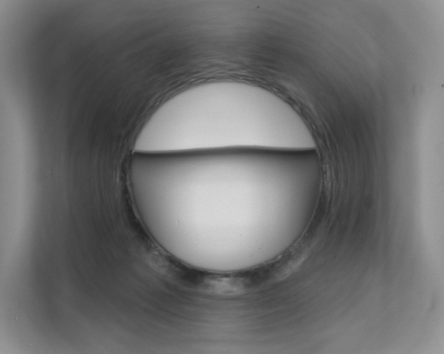 X0000112200221200908071249