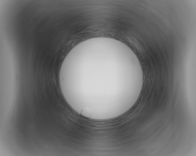 X0000112200229200908071249