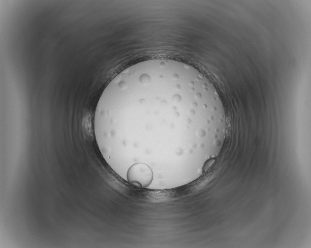 X0000112200238200908071249