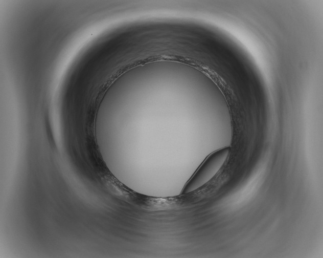 X0000112200239200908071249