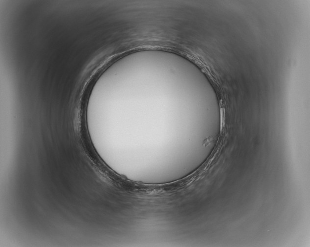 X0000112200243200908071248