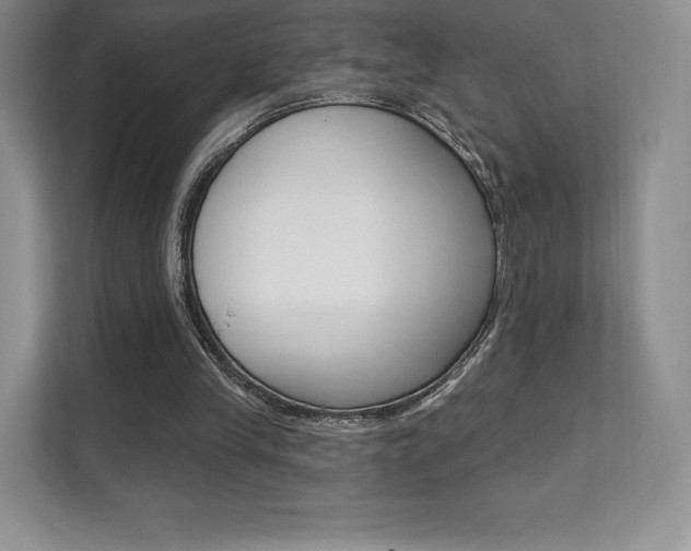 X0000112200245200908071248