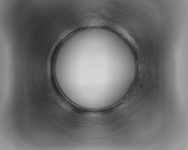 X0000112200250200908071248