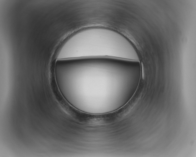 X0000112200252200908071249