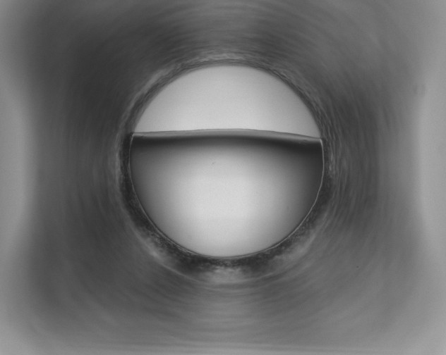 X0000112200256200908071249