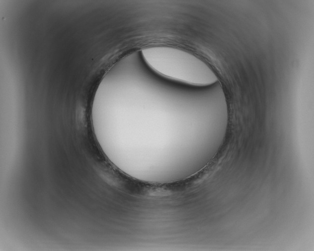 X0000112200258200908071249