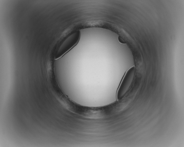 X0000112200260200908071249