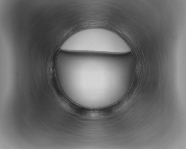 X0000112200264200908071249