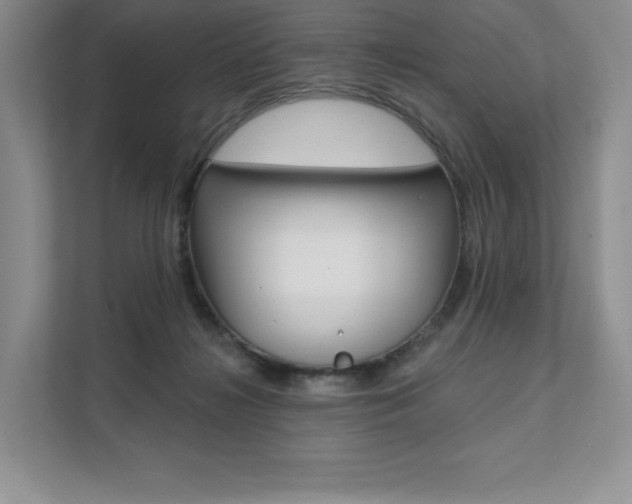 X0000112200268200908071249